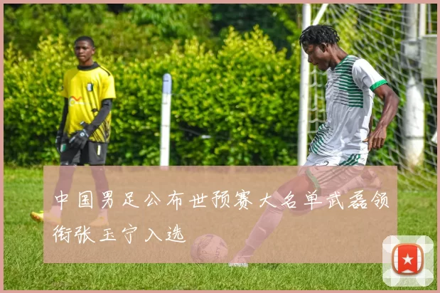 中国男足公布世预赛大名单武磊领衔张玉宁入选