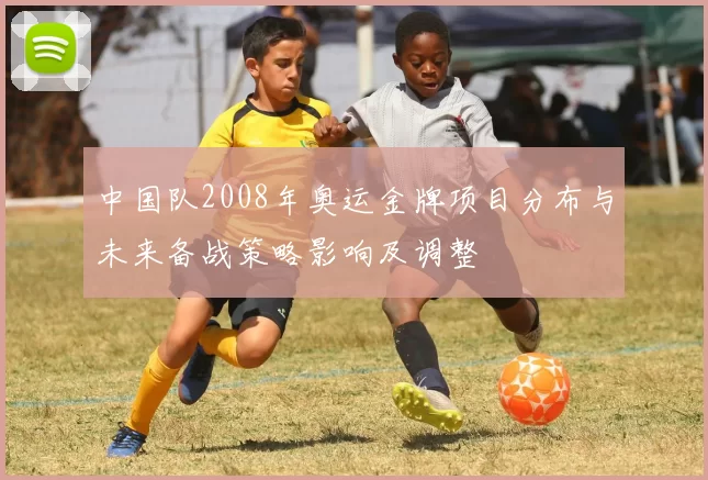 中国队2008年奥运金牌项目分布与未来备战策略影响及调整