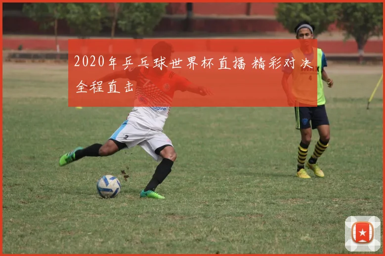 2020年乒乓球世界杯直播 精彩对决全程直击